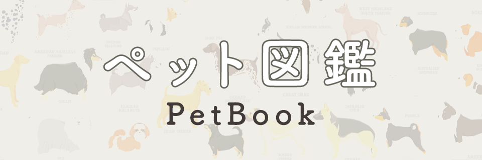 ペット図鑑
