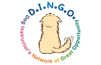 dingo